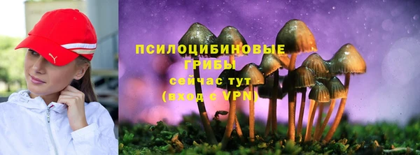 прущие крисы Мегион