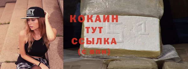 индика Михайлов