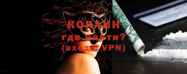 индика Михайлов