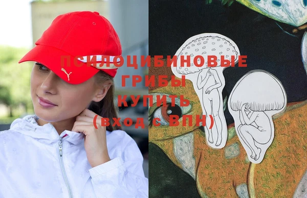 прущие крисы Мегион