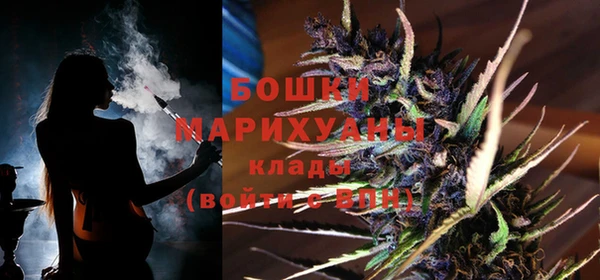 индика Михайлов
