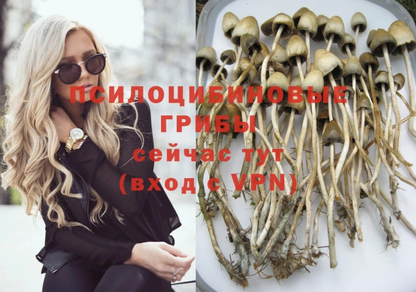 индика Михайлов