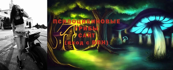 прущие крисы Мегион